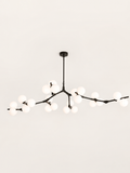 Lustre à Branches en Laiton et Globes de Verre